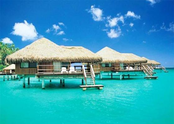 Struktur Baja Rumah Dekorasi Kayu, Banglo Rumah Prefabrikasi Kit